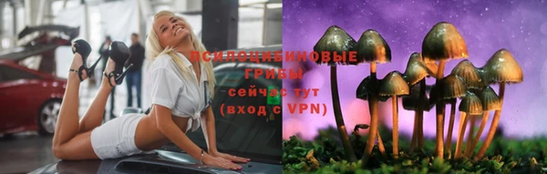 спайс Магас