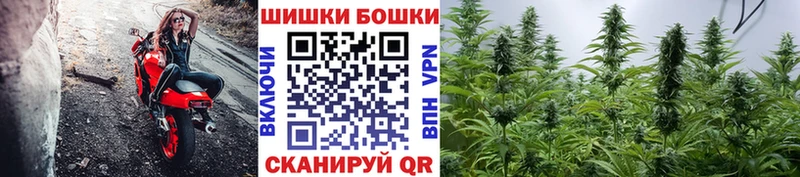 дарк нет состав  Юхнов  Шишки марихуана планчик  сколько стоит 